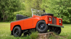 🏁Electric & Petrol Junior Off-Road Buggy