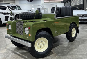 🏁Electric & Petrol Junior Off-Road Buggy