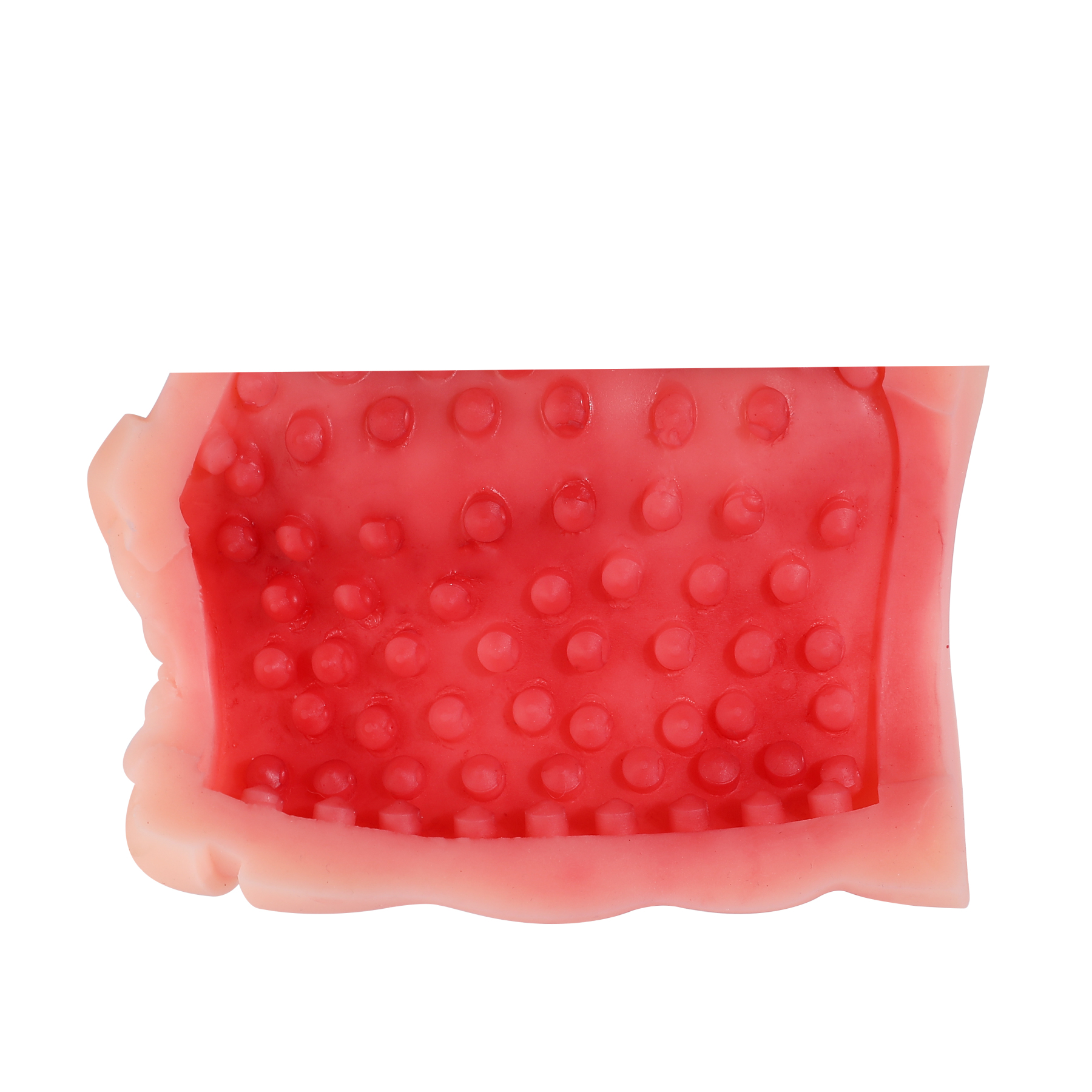 Masturbador Masculino Tipo Vagina 