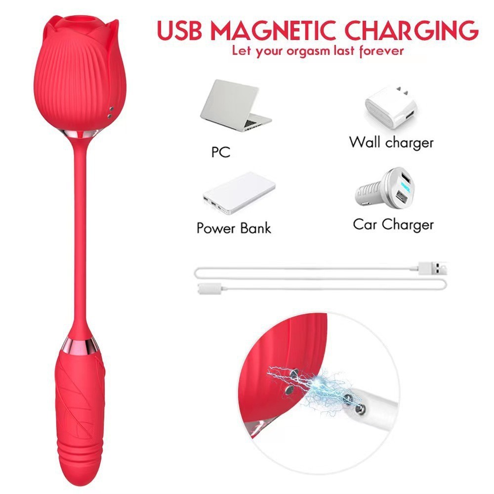 Vibrador Sugador de Clitóris com Função Vai e Vem | 4 em 1: Estímulo Clitóris, mamilos, Vagina e Anal | Recarregável USB