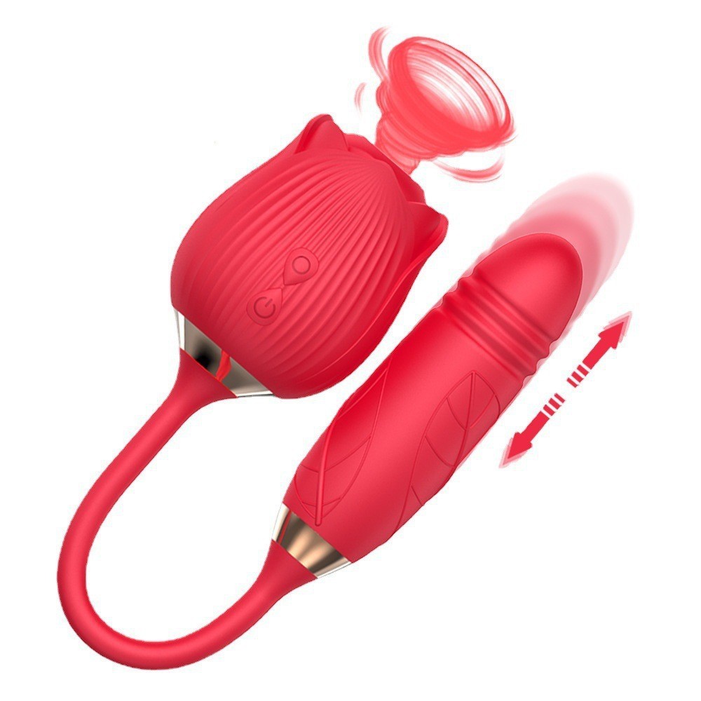Vibrador Sugador de Clitóris com Função Vai e Vem | 4 em 1: Estímulo Clitóris, mamilos, Vagina e Anal | Recarregável USB