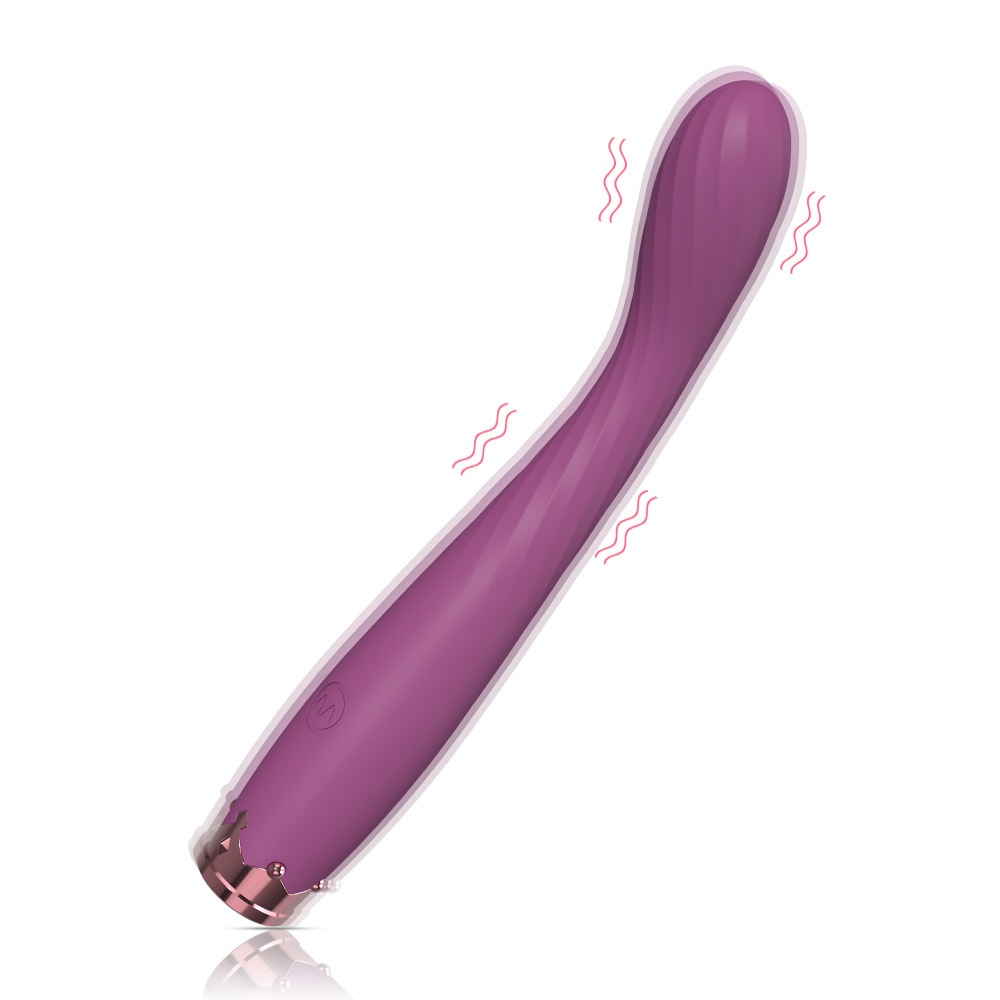 Vibrador Ponto G e Clitóris Recarregável com 10 Modos de Vibração