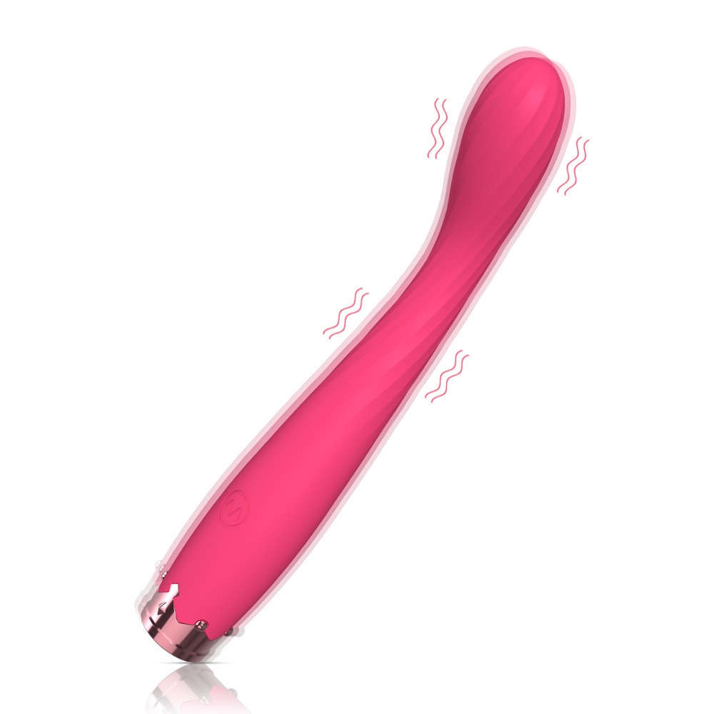 Vibrador Ponto G e Clitóris Recarregável com 10 Modos de Vibração