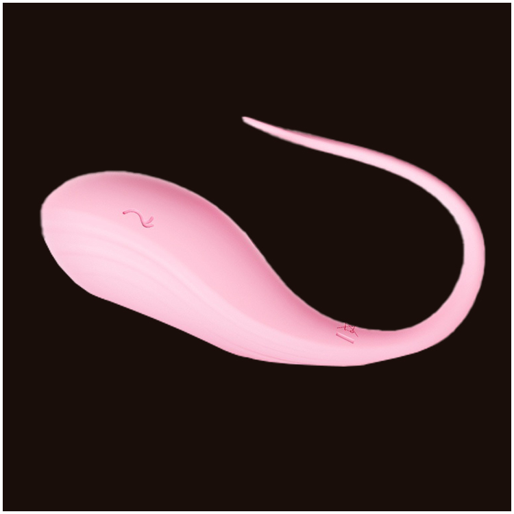 Vibrador Portátil com Dupla Vibração