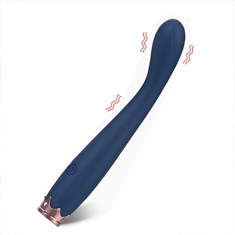Vibrador Ponto G e Clitóris Recarregável com 10 Modos de Vibração