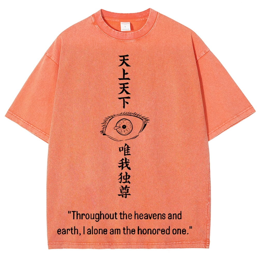 Unisex Fit Washed T-Shirt 2602014382