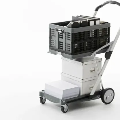 🔥Clearance Price SGD 4.99🔥 Multipurpose Folding Cart 😍