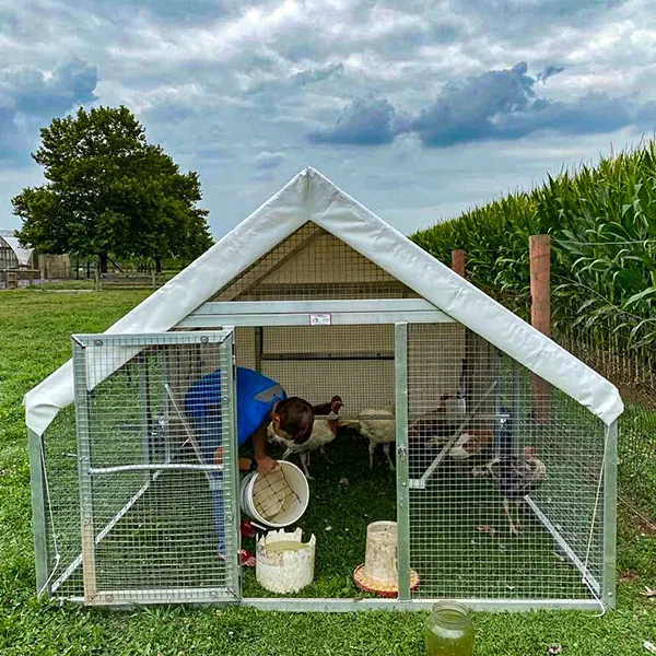 🎉HOT SALE🐔Mobile Coop