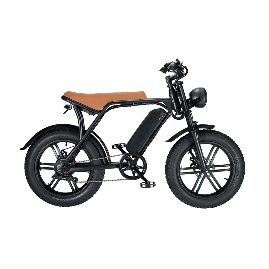 🔥2024 Hot Sale🚲V8 Mountain Electric Bike