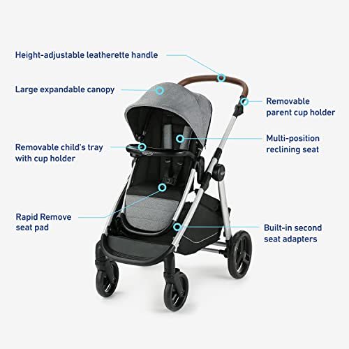 Travel System, Ren
