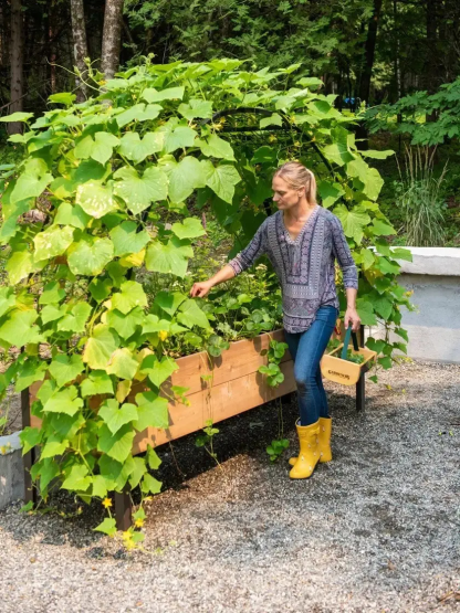 💥Self-Watering Eco-Stained Elevated 2'x8' Planter Box with Arch Trellis💥Flash sale ⚡ Limited Stock