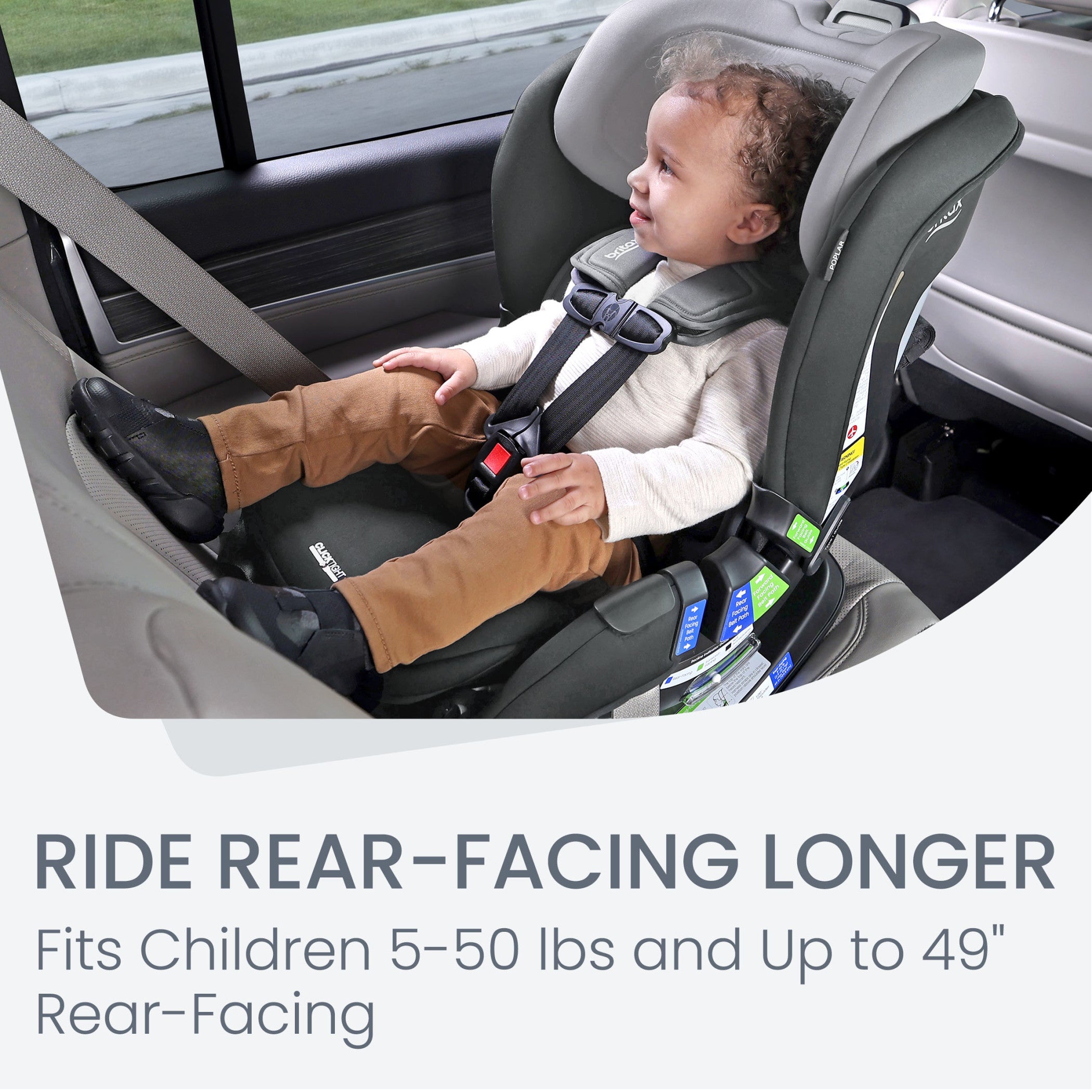  Convertible Car Seat