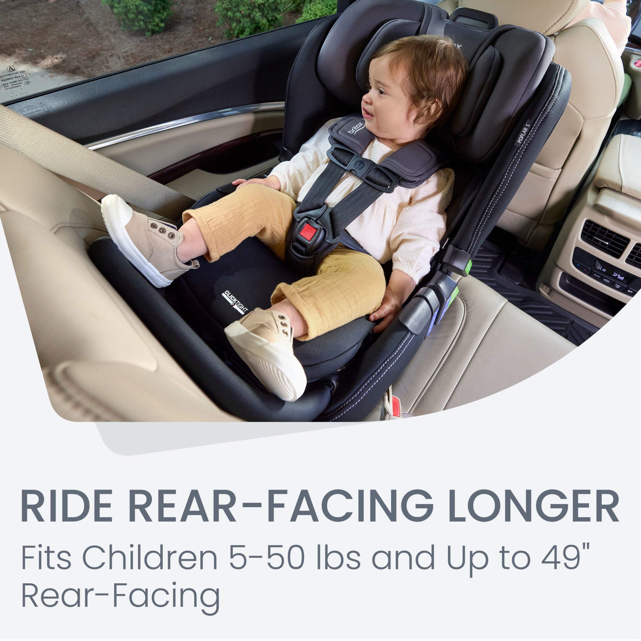  Convertible Car Seat