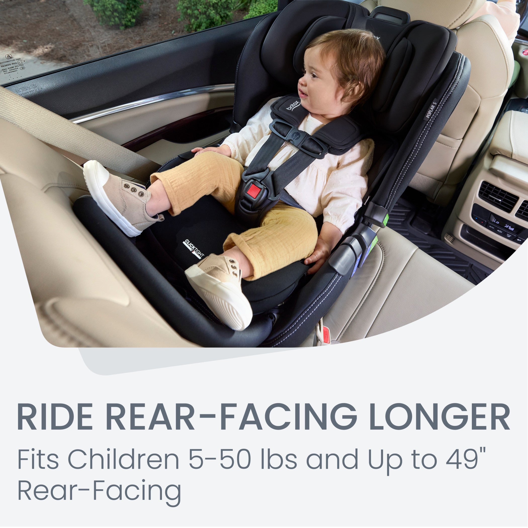  Convertible Car Seat