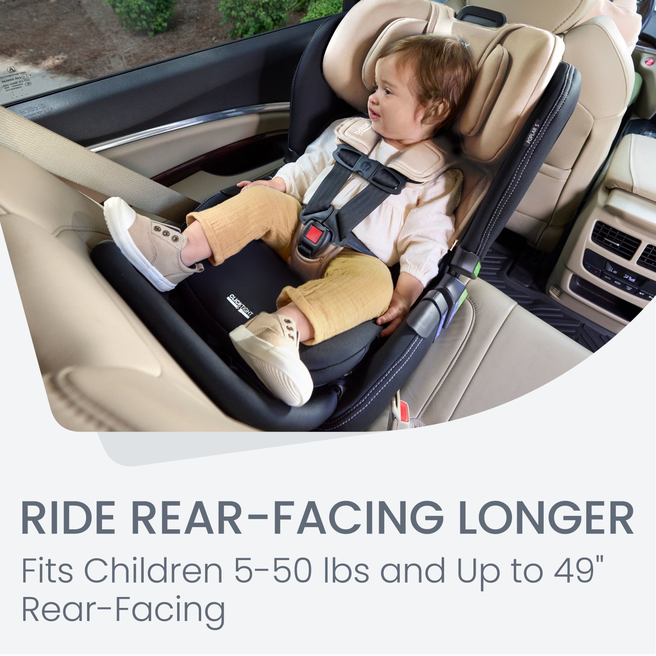  Convertible Car Seat