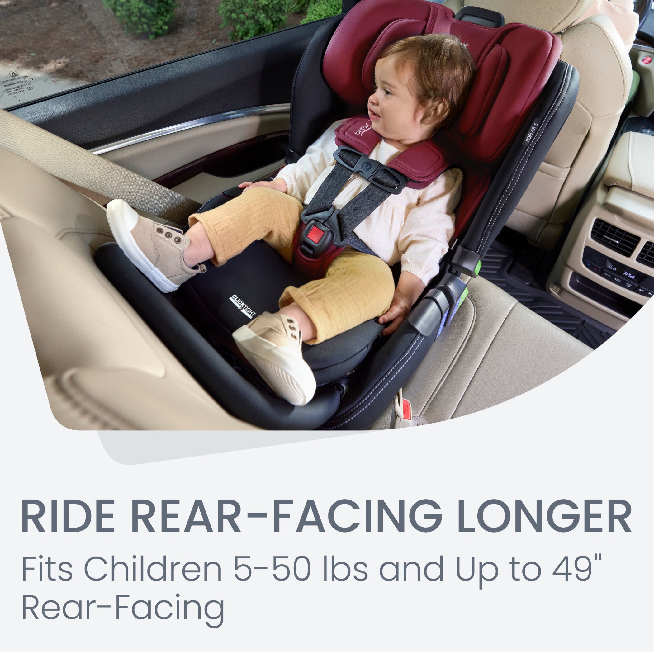 Convertible Car Seat