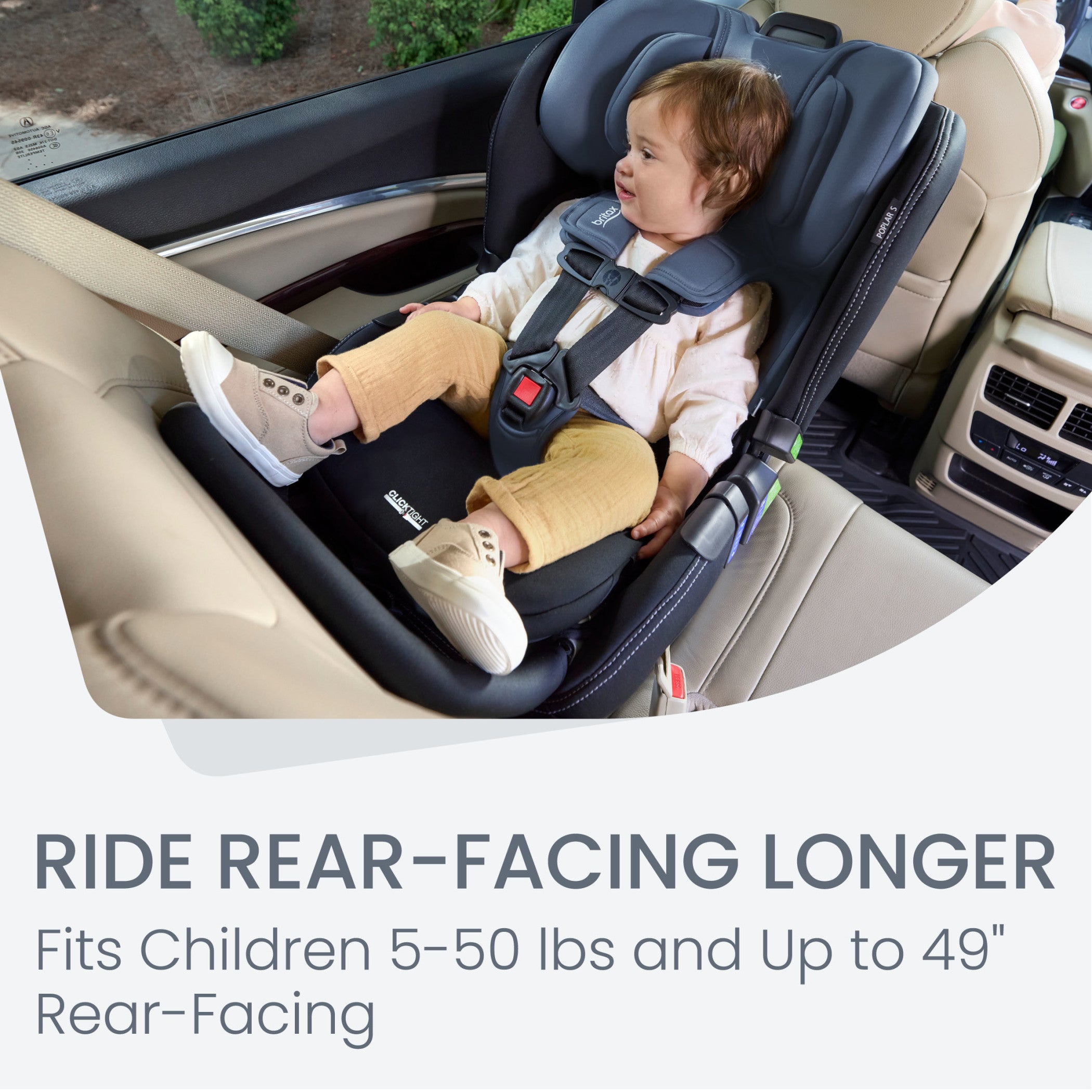  Convertible Car Seat