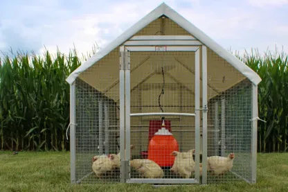 🎉HOT SALE🐔Mobile Coop