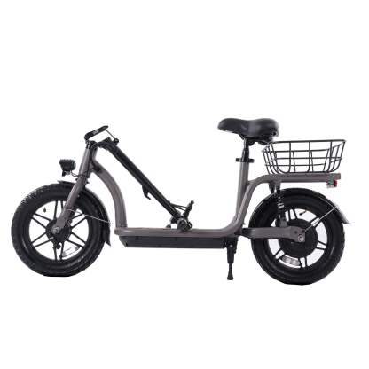Flex Electric Scooter