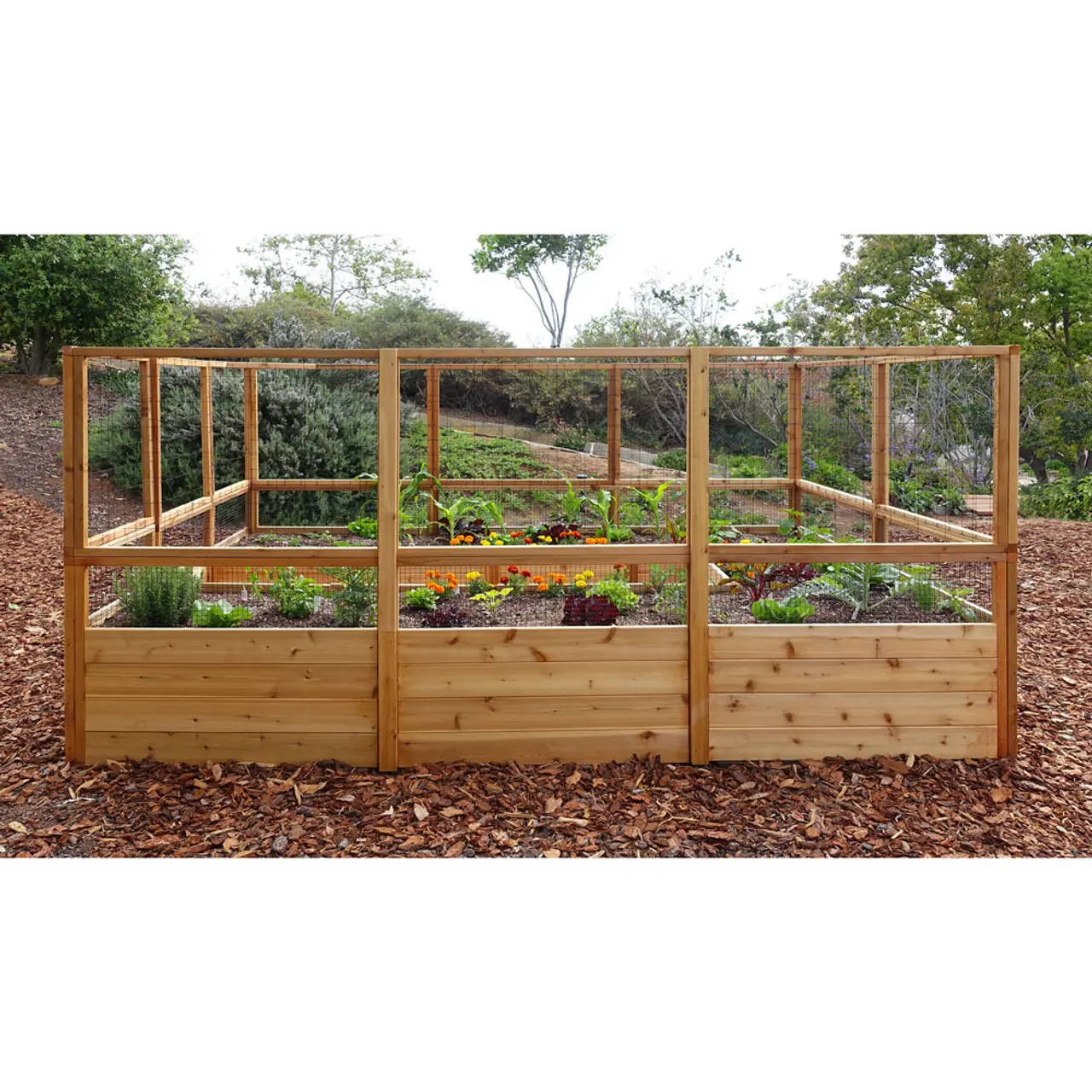 Cedar Complete Raised Garden Bed Kit - 8' x 12'