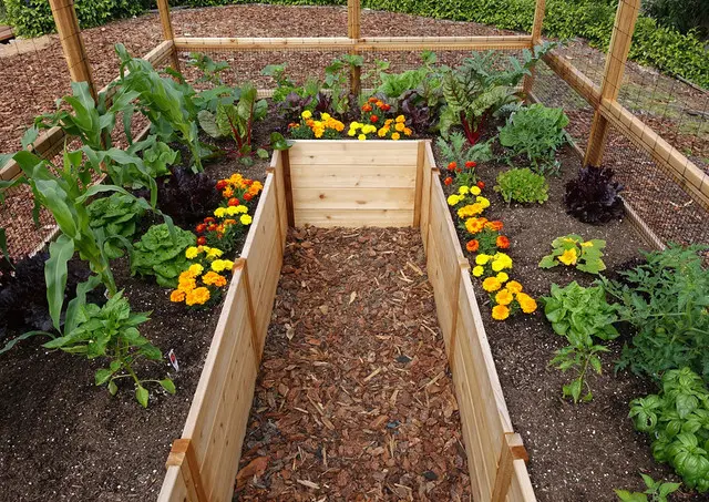 Cedar Complete Raised Garden Bed Kit - 8' x 12'