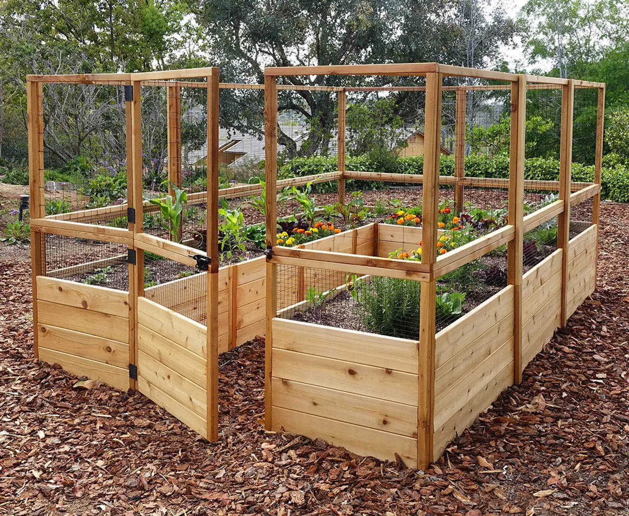 Cedar Complete Raised Garden Bed Kit - 8' x 12'