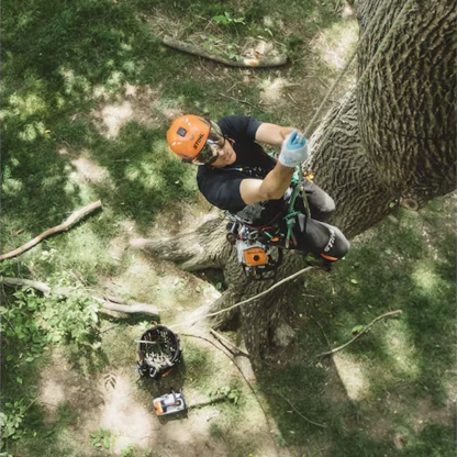 STIHL MS 194 T Gas Powered Chainsaw