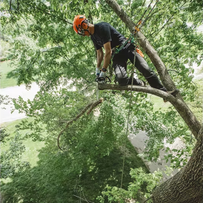 STIHL MS 194 T Gas Powered Chainsaw