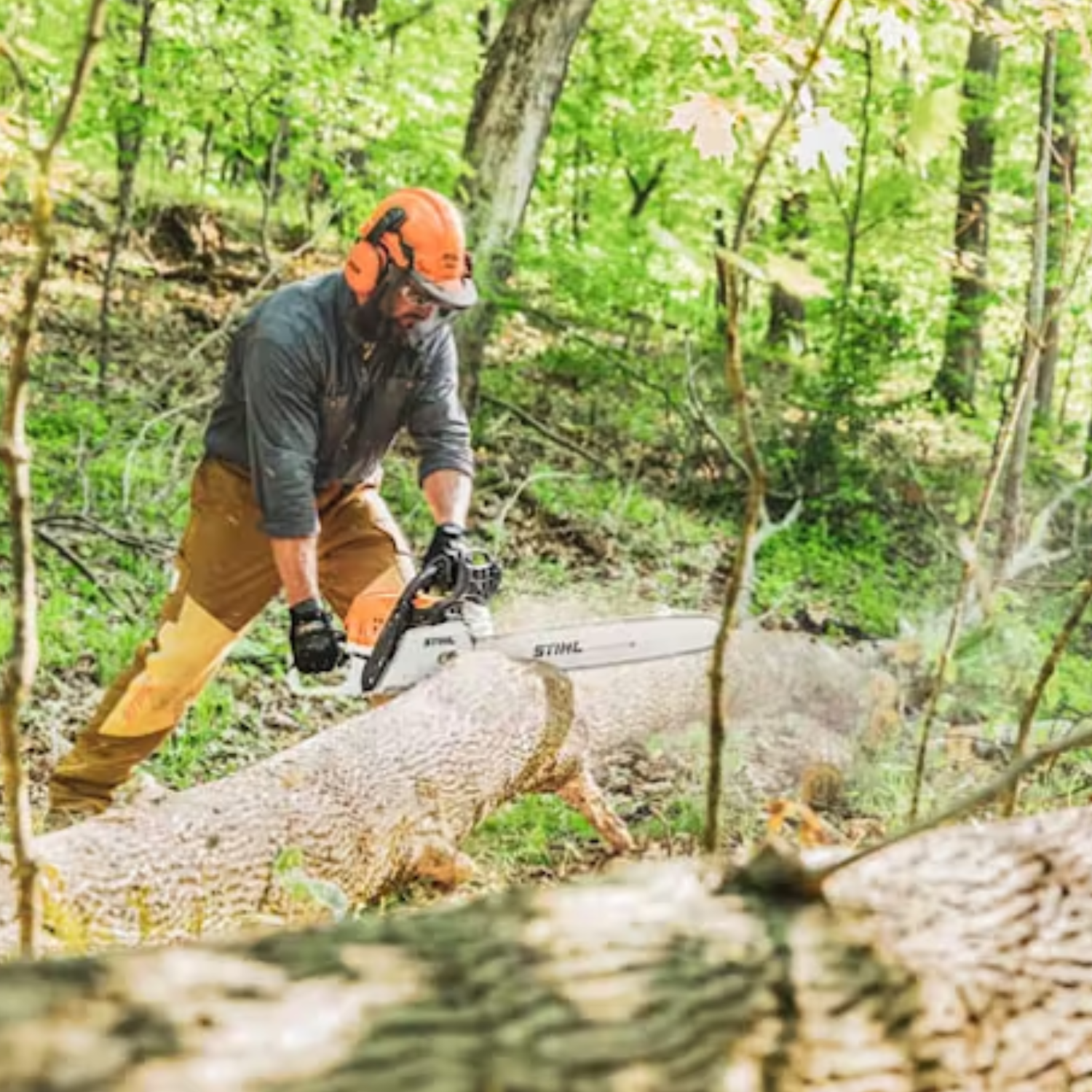 STIHL MS 391 Gas Powered Chainsaw