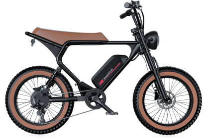 Macfox X2 Electric Mountain Bike