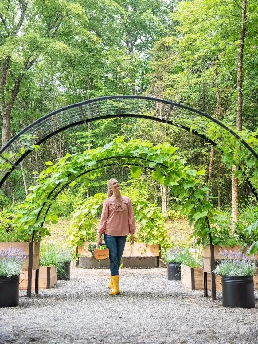 💥Self-Watering Eco-Stained Elevated 2'x8' Planter Box with Arch Trellis💥Flash sale ⚡ Limited Stock