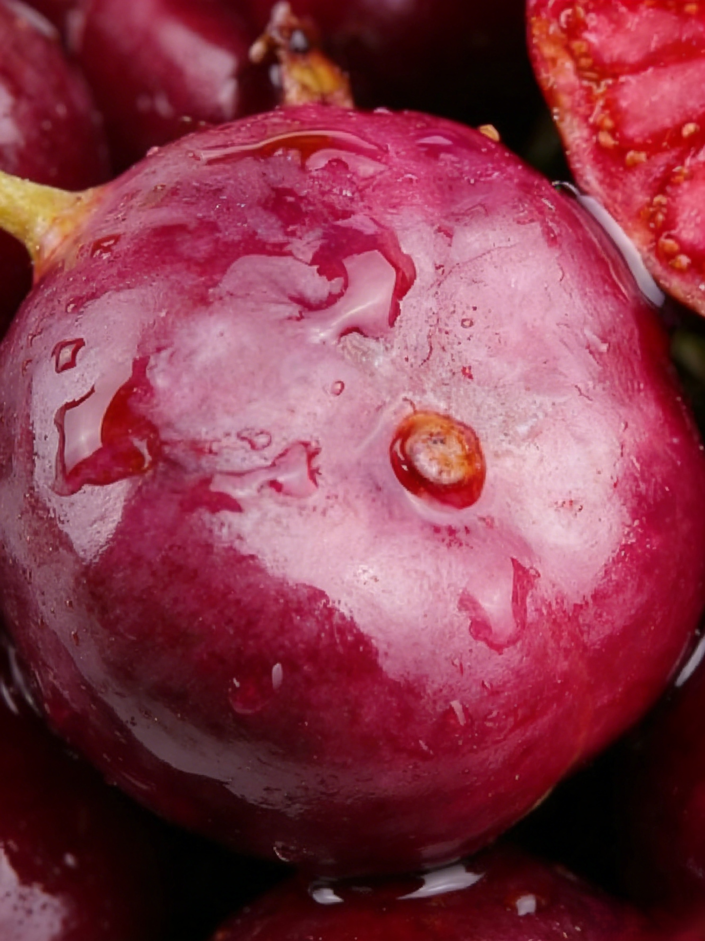 【Antioxidánsok királya】Amerikai import piros ginszeng magok