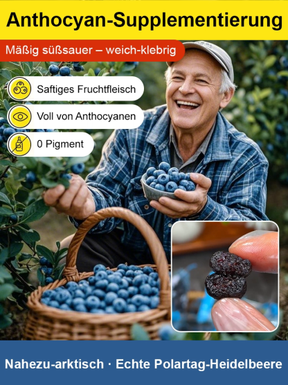 Premium zuckerfreie getrocknete Blaubeeren