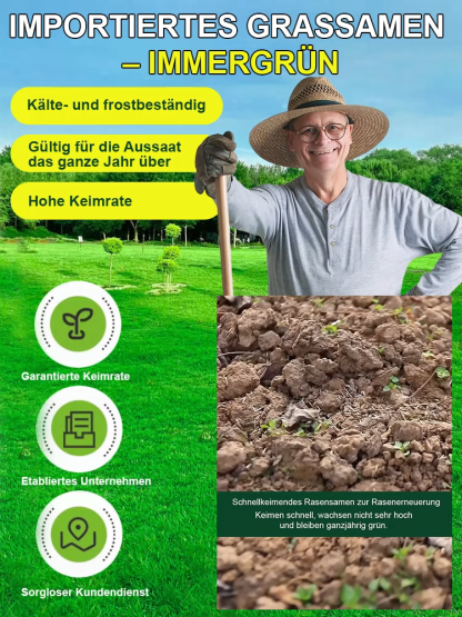 【Einmal pflanzen, 10 Jahre nutzen】Schnell wachsende Samen für Frühlingsrasen
