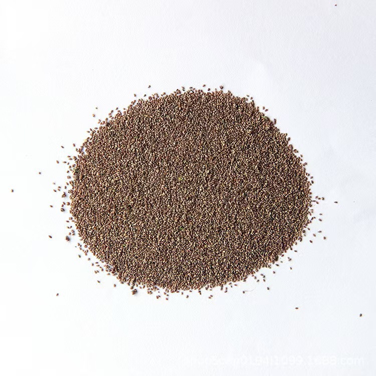 【Einmal pflanzen, 10 Jahre nutzen】Schnell wachsende Samen für Frühlingsrasen