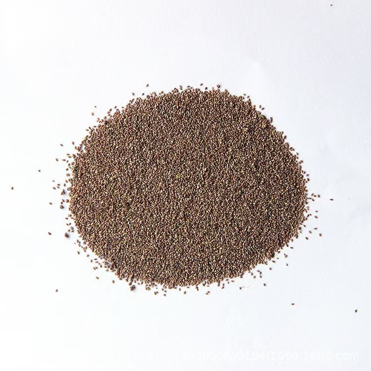 【Einmal pflanzen, 10 Jahre nutzen】Schnell wachsende Samen für Frühlingsrasen