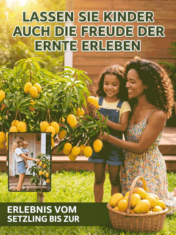 【🥭🥭Genetisch hochwertige Jungpflanzen, 99,9 % Überlebensrate】✅Ideal für Anfänger, große Früchte, süßes Fruchtfleisch, nahrhaft und gesund