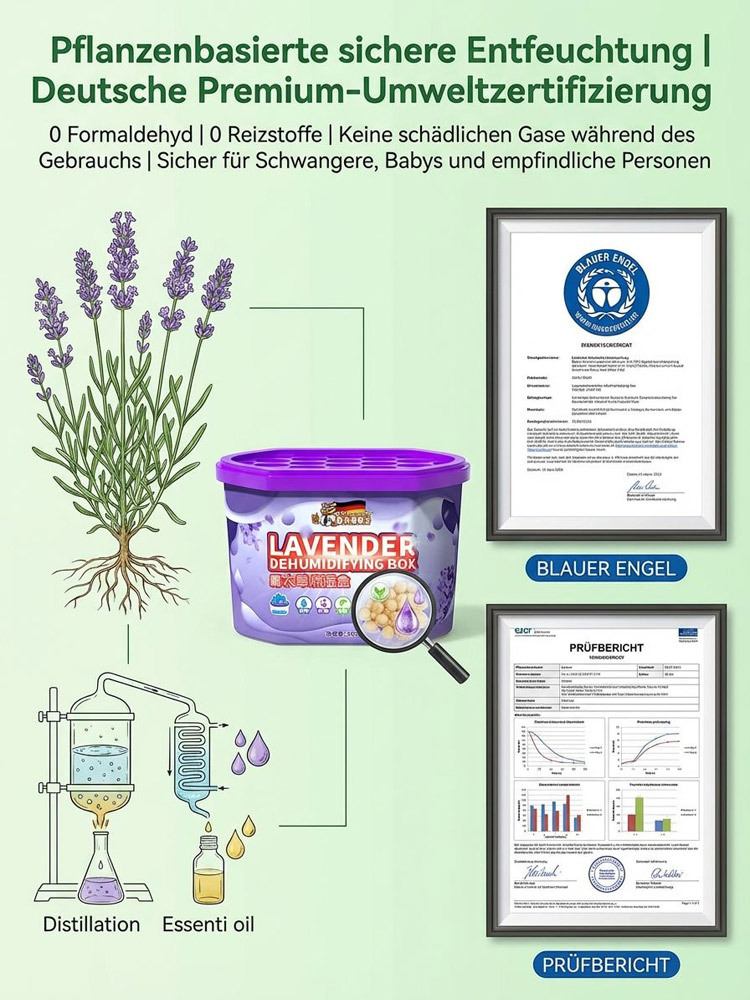【Ganzjährige Entfeuchtung】Leistungsstarke universelle Entfeuchtungsbox