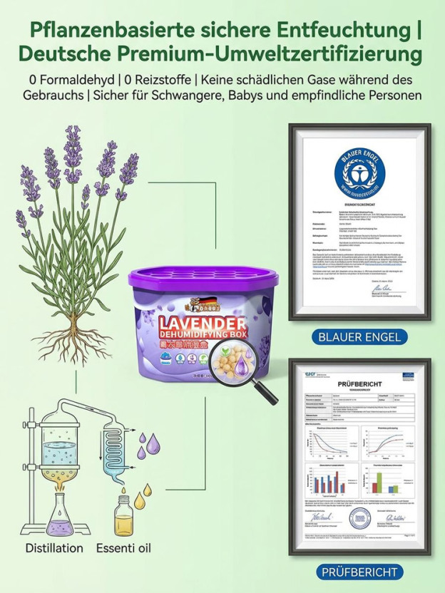 【Ganzjährige Entfeuchtung】Leistungsstarke universelle Entfeuchtungsbox