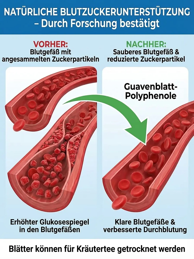 【Vitamin-C-Bombe】99,9 % Überlebensrate, einmalige Pflanzung, jährliche Fruchtbildung. Jetzt ist die beste Aussaatzeit. Keine besondere Pflege nötig, gedeiht mit nur Wasser, kälte- und hitzebeständig, extrem anpassungsfähig.