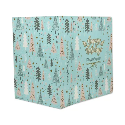 🎁TikTok Last Day Sale - 70% OFF🎉Fill it Yourself Empty Gift Packaging | 12 Days of Gifts