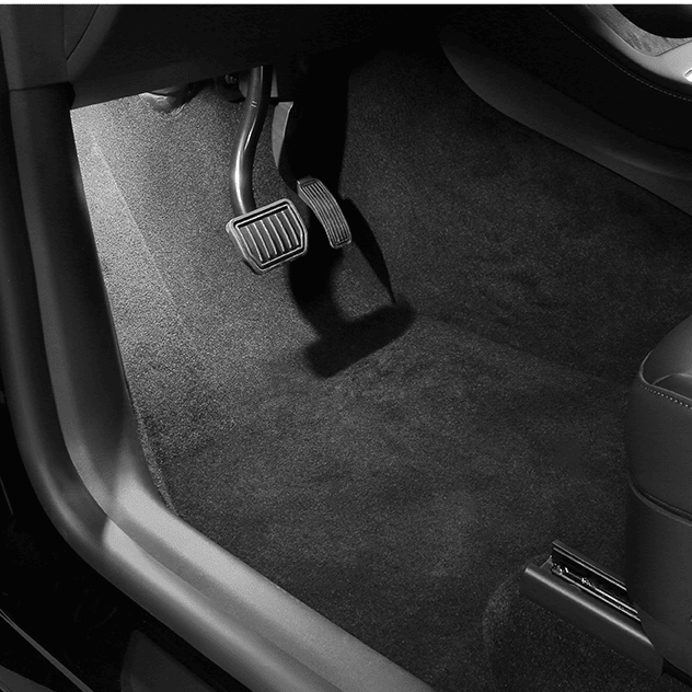 Footwell LED Lights for Tesla Model 3/Y/S/X (4PCS) - Tesery Official Store