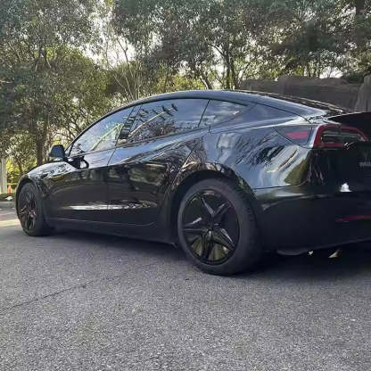 TESERY 18″ 19″ Starfish Style Hubcap for Tesla Model 3/Y (4PCS) - Tesery Official Store