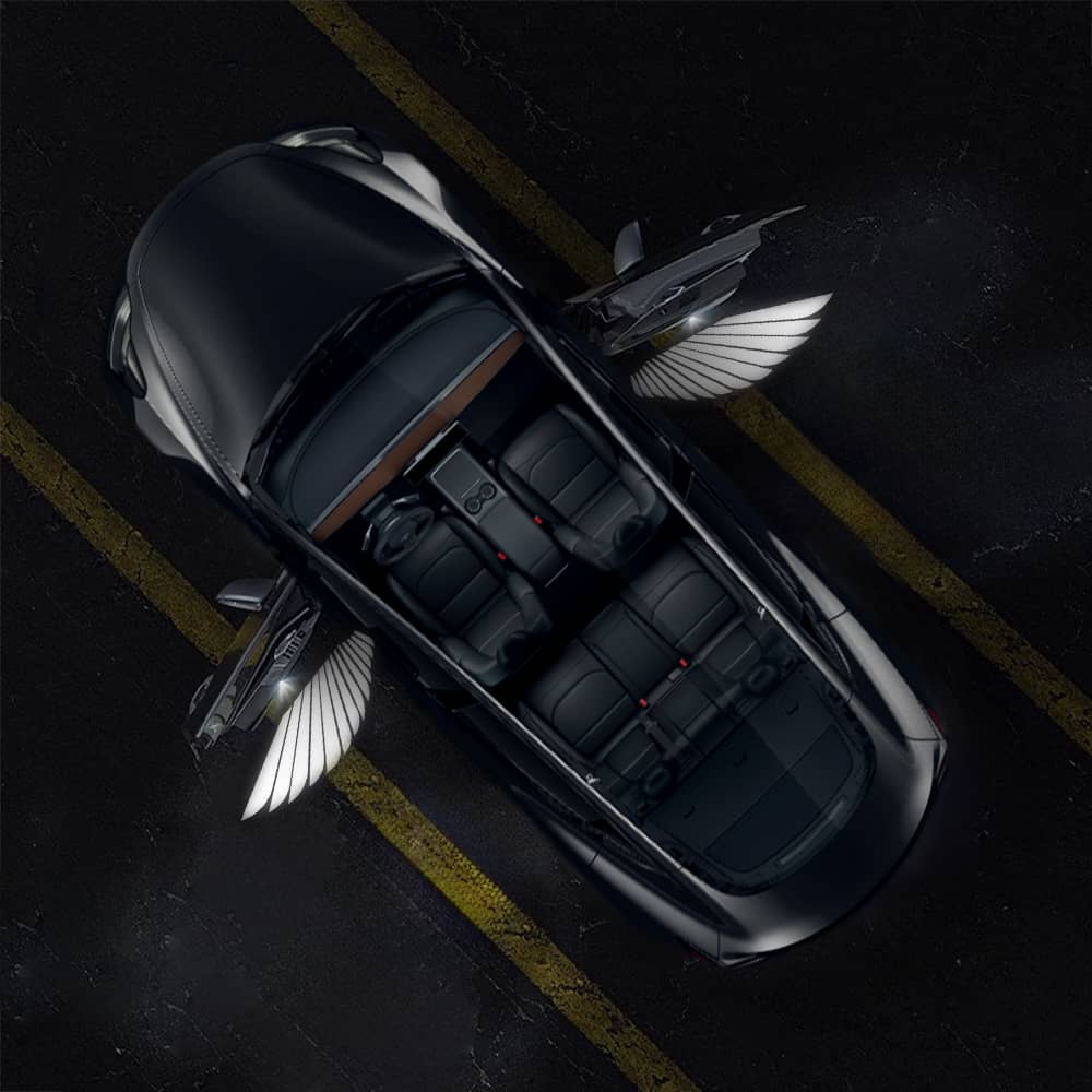 TESERY Angel Wings Door Welcome Lights for Model 3/Y/S/X - Tesery Official Store