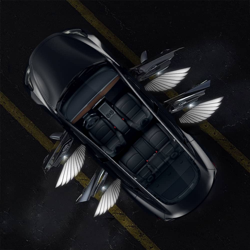 TESERY Angel Wings Door Welcome Lights for Model 3/Y/S/X - Tesery Official Store