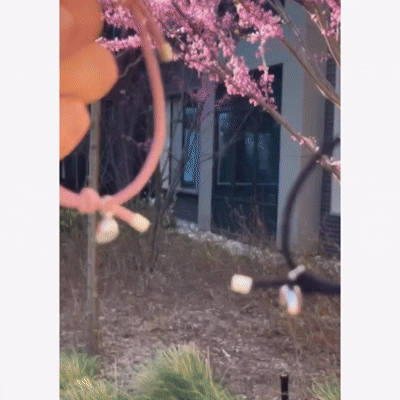 Magnetic Couples Bracelets Wine