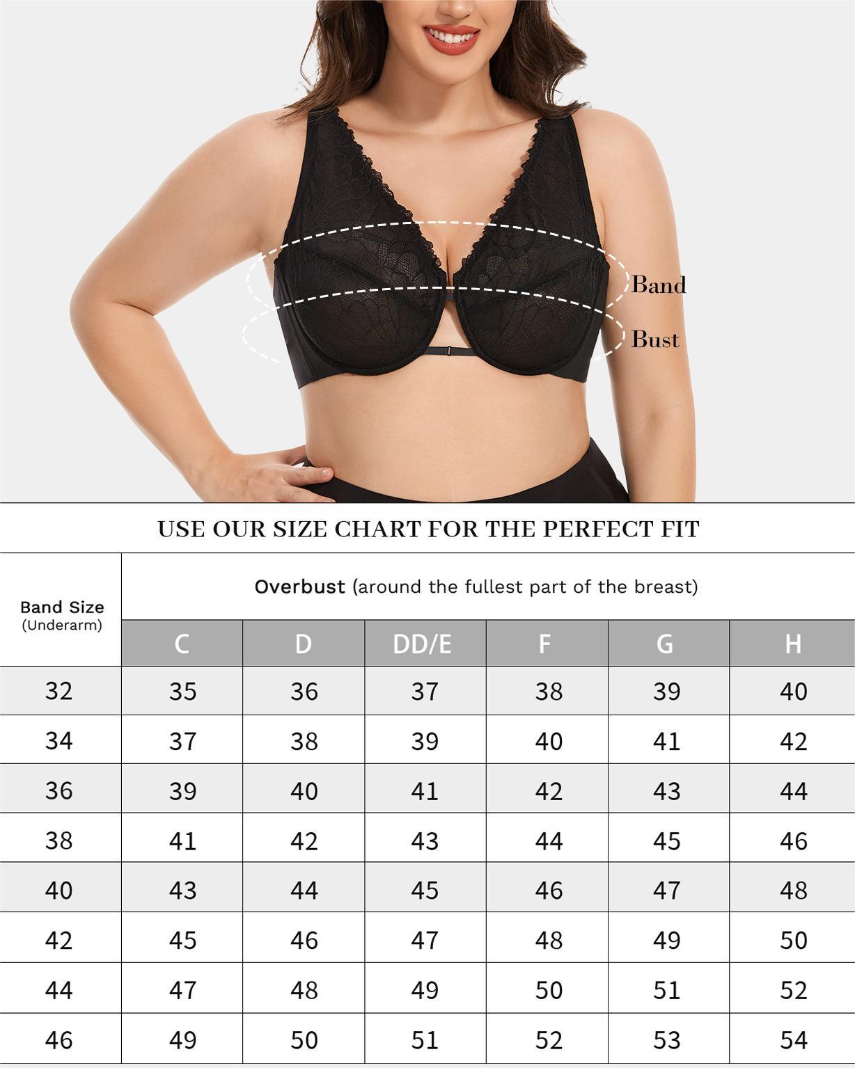 Sheer Mesh And Lace Full Coverage Plunge Unlined Underwire Bra