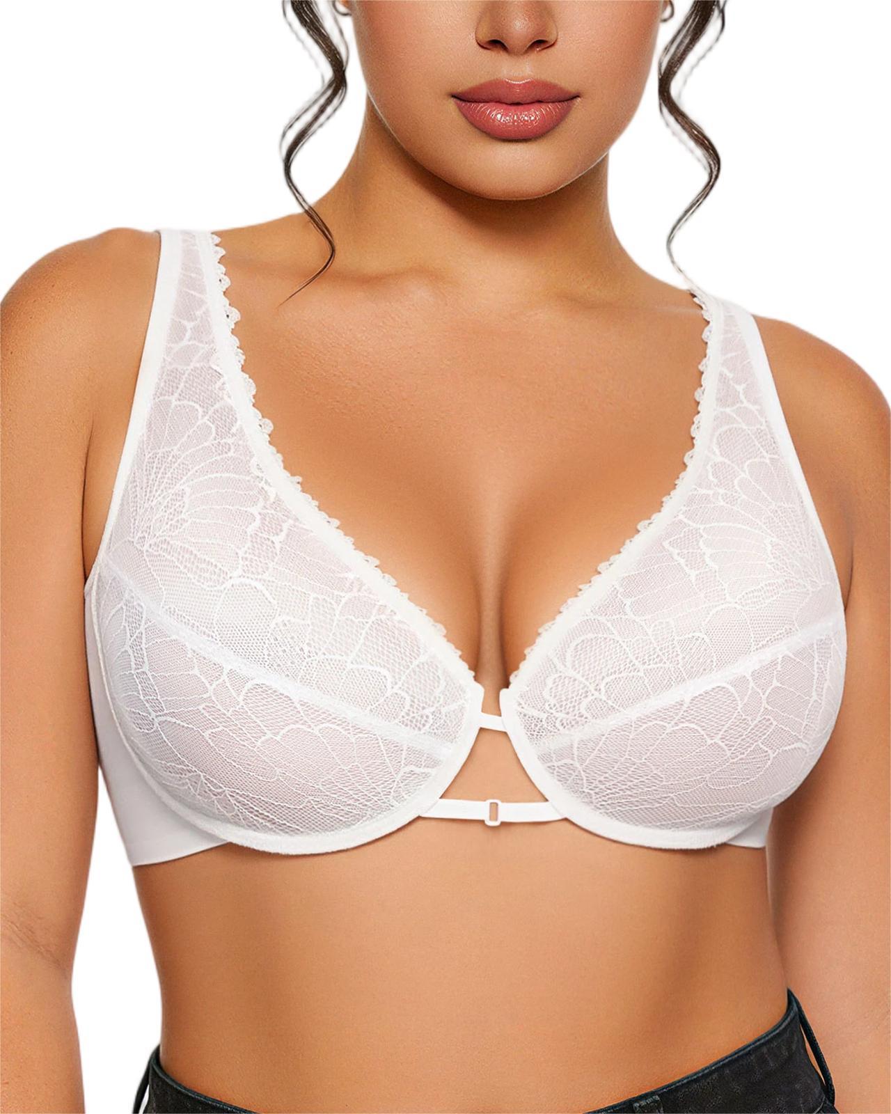 Sheer Mesh And Lace Full Coverage Plunge Unlined Underwire Bra
