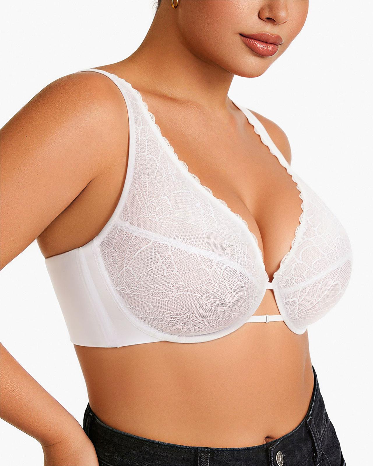 Sheer Mesh And Lace Full Coverage Plunge Unlined Underwire Bra