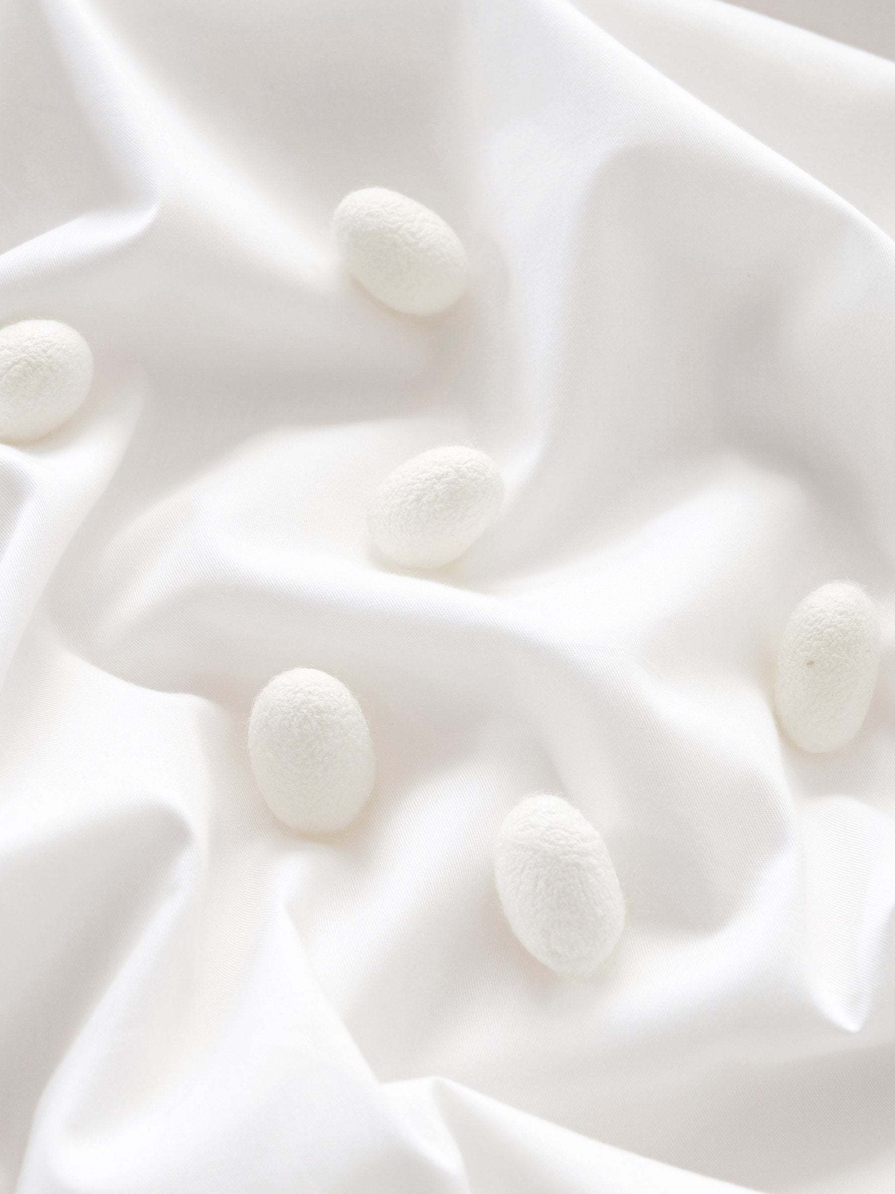 Deluxe 2 in 1 Cotton Covered Silk Comforter